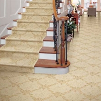 Stair floors with carpets in Zionsville