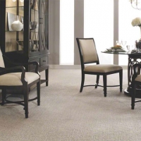 Repaired living room carpets in Fishers