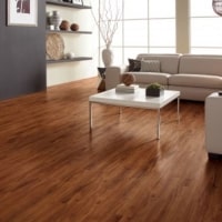 Beautiful Vinyl Floors in Zionsville